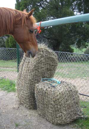 Haysaver Nets in half and full bale sizes. 