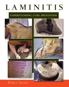 Laminitis, Understanding, Prevention and Cure by Remko Sikkel is highly recommended. 