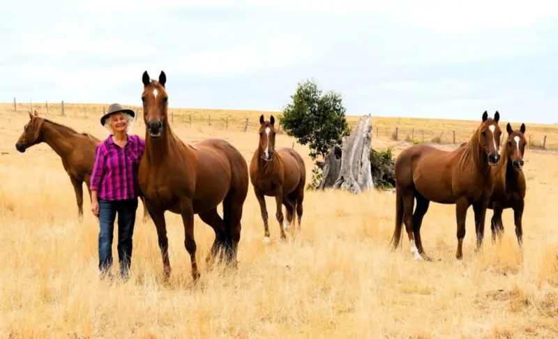 Our story - Natural Horse World Cynthia with Herd in summer by Pauline Mongarny.