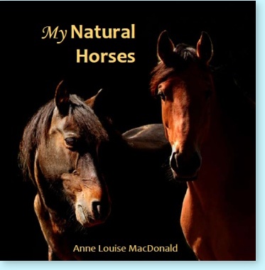 My Natural Horses book