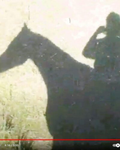 Bareback & Bridle-less on True