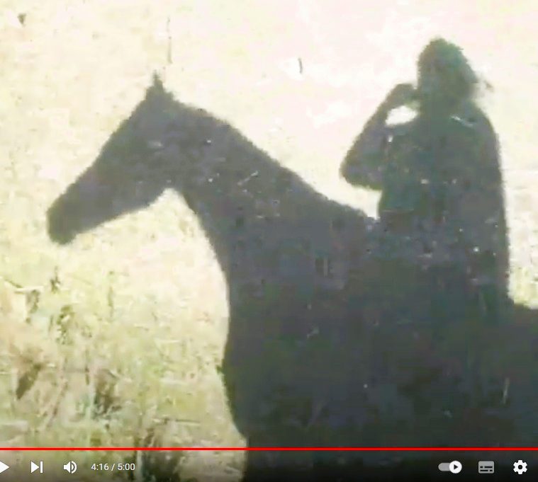 Bareback & Bridle-less on True