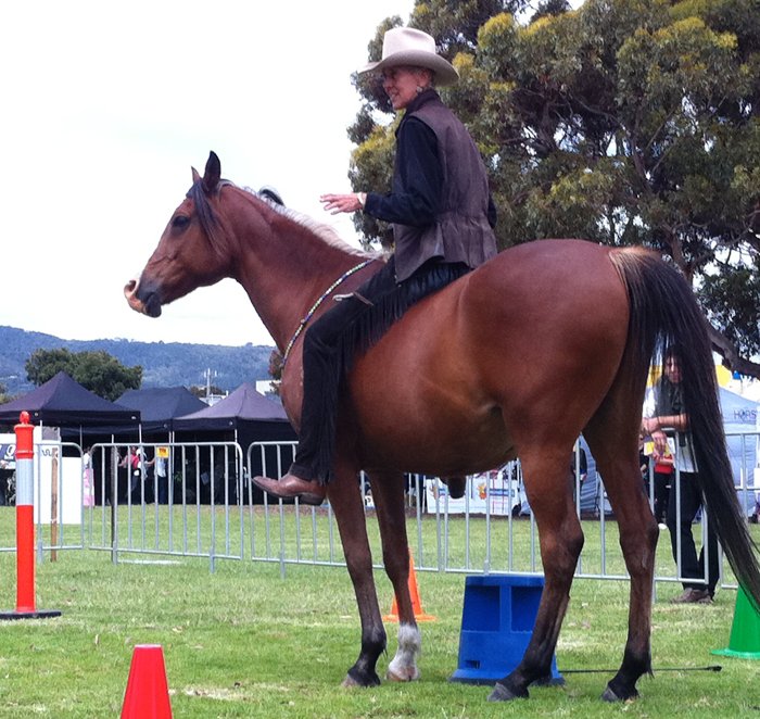 Wrangler Jayne’s Horsemanship With Heart Program - Natural Horse World WranglerJayneRiding