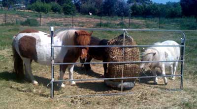 Ponynetbarrier