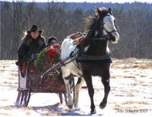 SleddingBitless