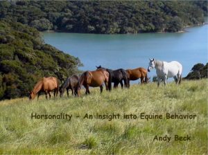 Horsonality