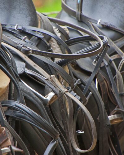 Care for your leather tack and it will last for many years, and stay safe.