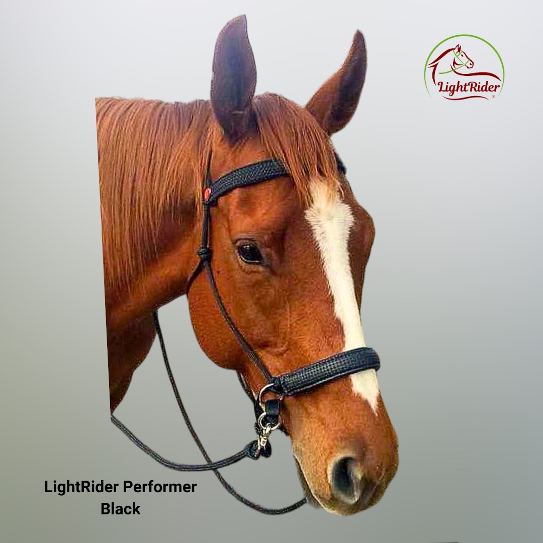 LightRider Rope Performer Bitless Bridle - Image 5