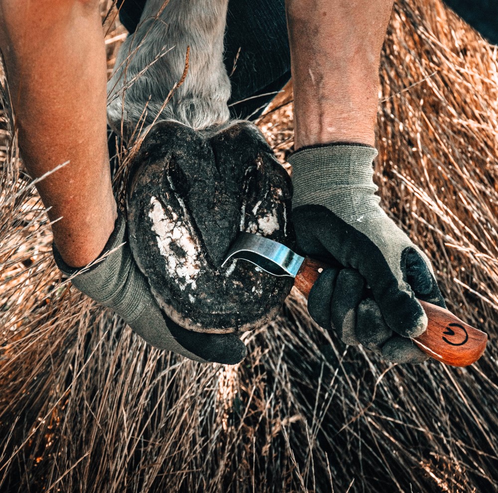 Wild’ Loop Hoof Knife - Natural Horse World WildKnifeWithHoofFlo