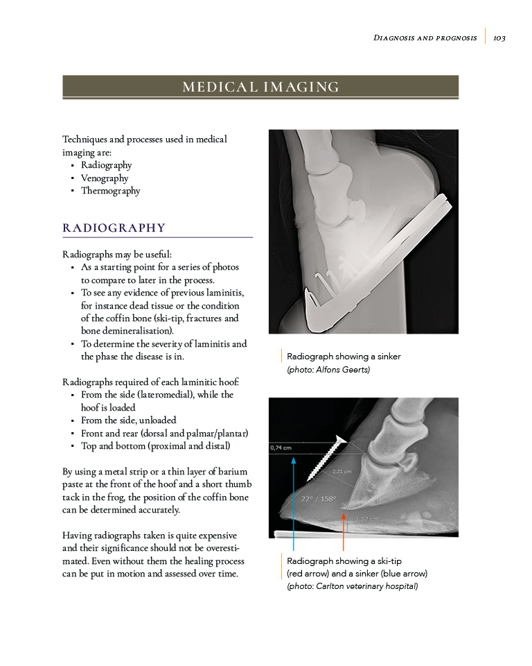 Laminitis – Understanding, Cure, Prevention By Remco Sikkel - Natural Horse World LaminitisBookP103