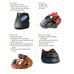 LaminitisBookP143