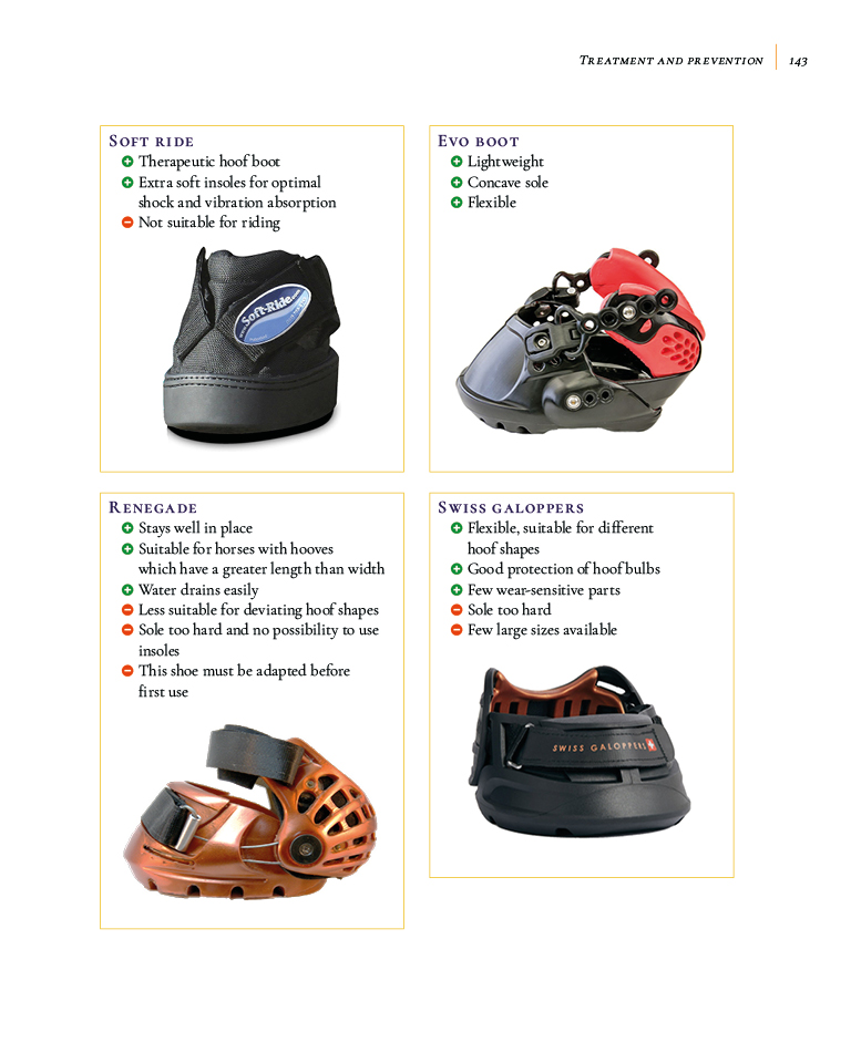 Laminitis – Understanding, Cure, Prevention By Remco Sikkel - Natural Horse World LaminitisBookP143