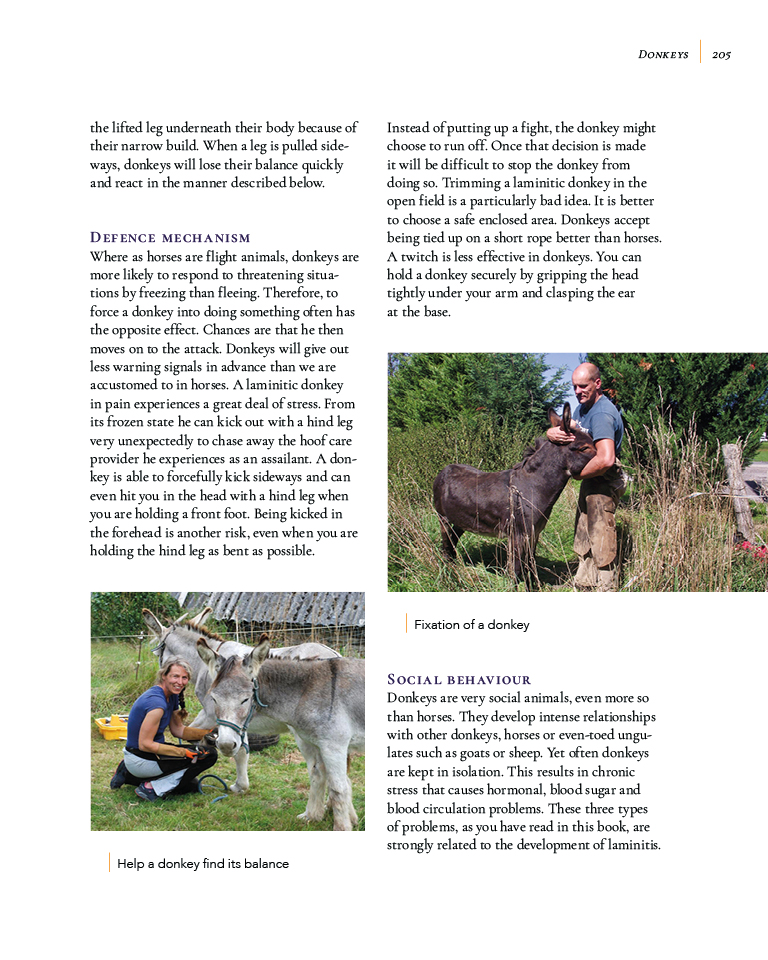Laminitis – Understanding, Cure, Prevention By Remco Sikkel - Natural Horse World LaminitisBookP205