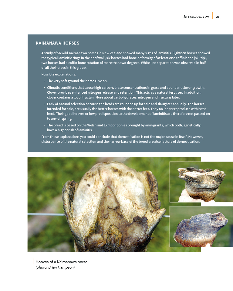 Laminitis – Understanding, Cure, Prevention By Remco Sikkel - Natural Horse World LaminitisBookP21