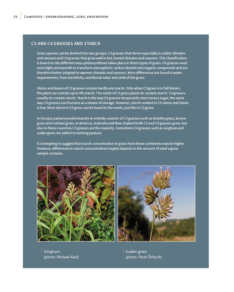 Laminitis – Understanding, Cure, Prevention By Remco Sikkel - Natural Horse World LaminitisBookP72
