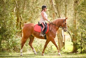 LightRider Dressage Deb