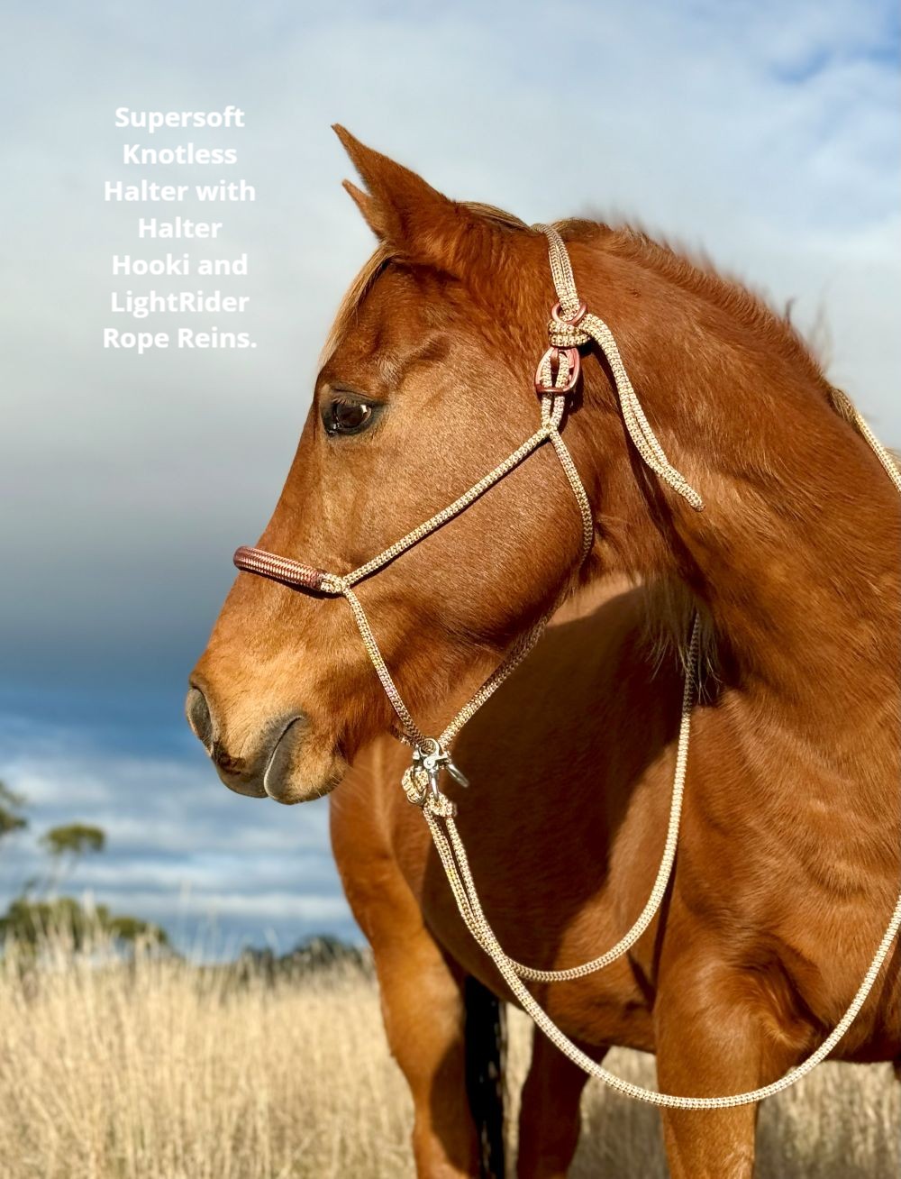 SuperSoft Knotless Rope Halter - Image 6