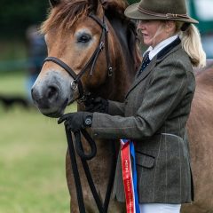 Monsieur Chapeau, winning a championship at the MEPBG Exmoor Pony Show at Brendon Show (Image: Geoff Baylis)