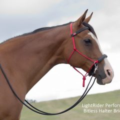 LightRider Performer Bitless Bridle Red