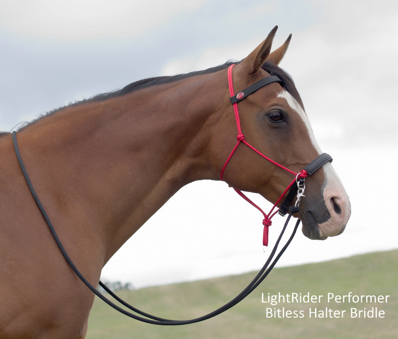 LightRider Performer Bitless Bridle Red