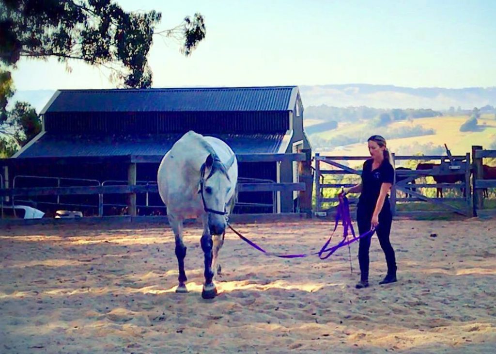 Lunging to Connection: A Road Less Travelled - Natural Horse World LungingKimDyer