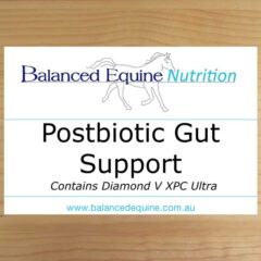 Postbiotic Gut Support - 2kg Contains Diamond V XPC Ultra