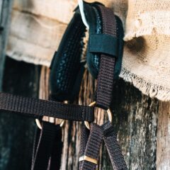 Poll cover on bridle