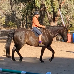 BarebackRidingMelissaBuck