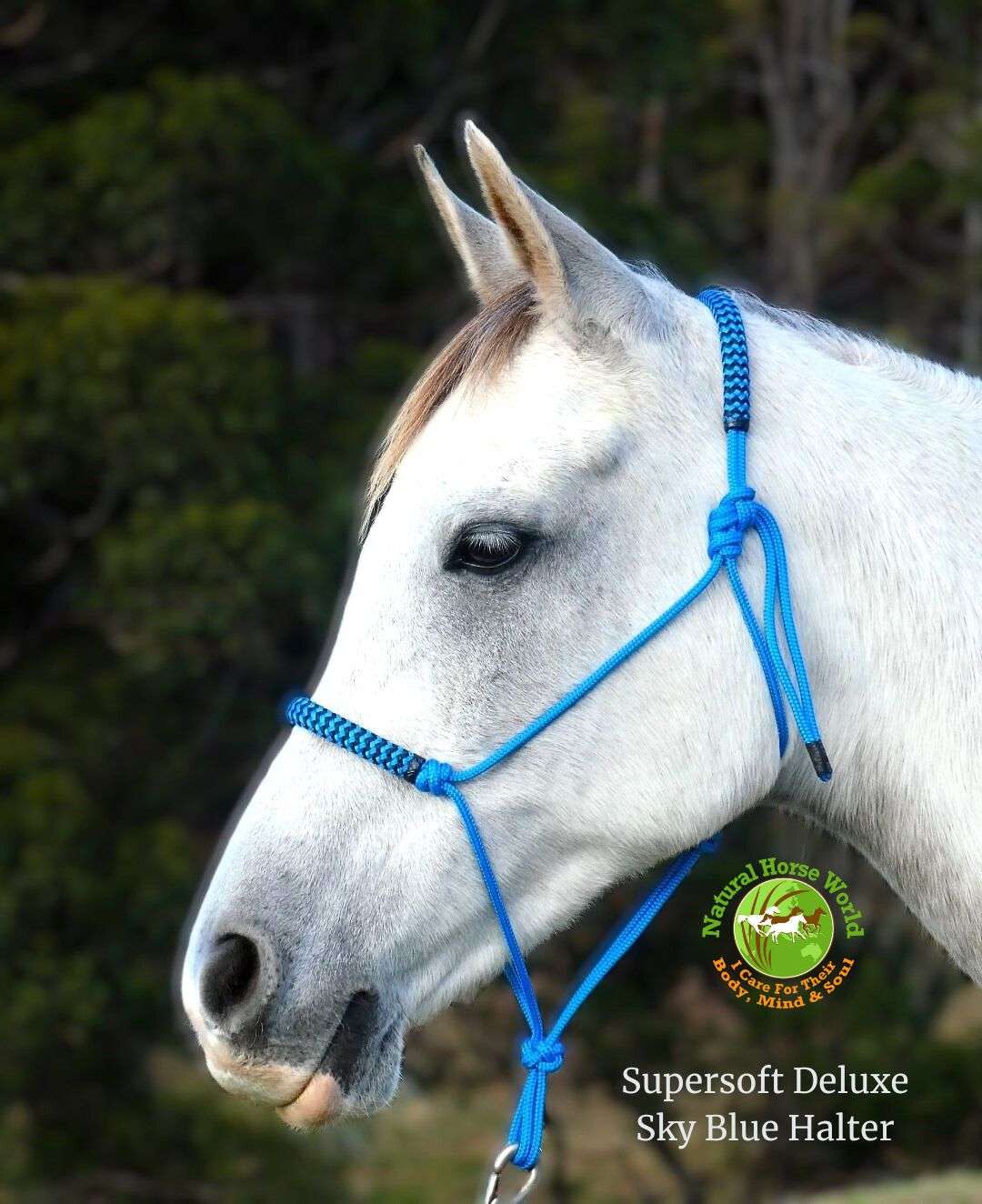 Supersoft Deluxe halter Blue
