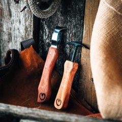Hoof care