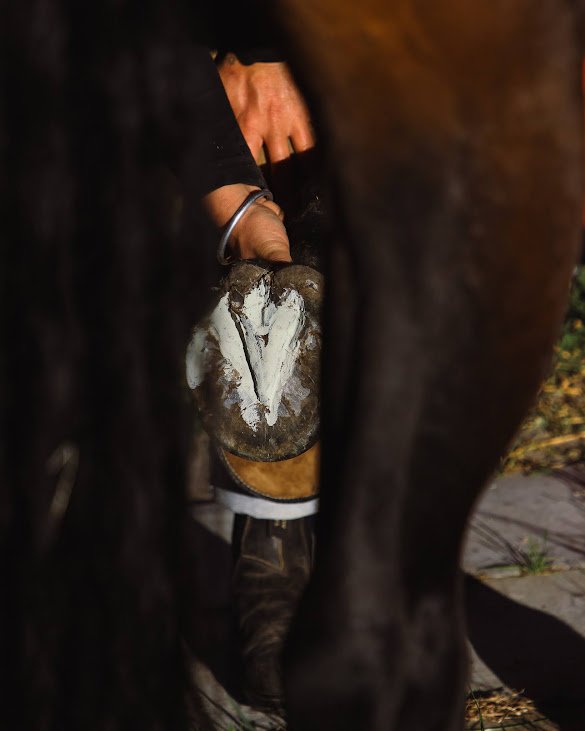 EquiMud Hoof Clay - Image 2