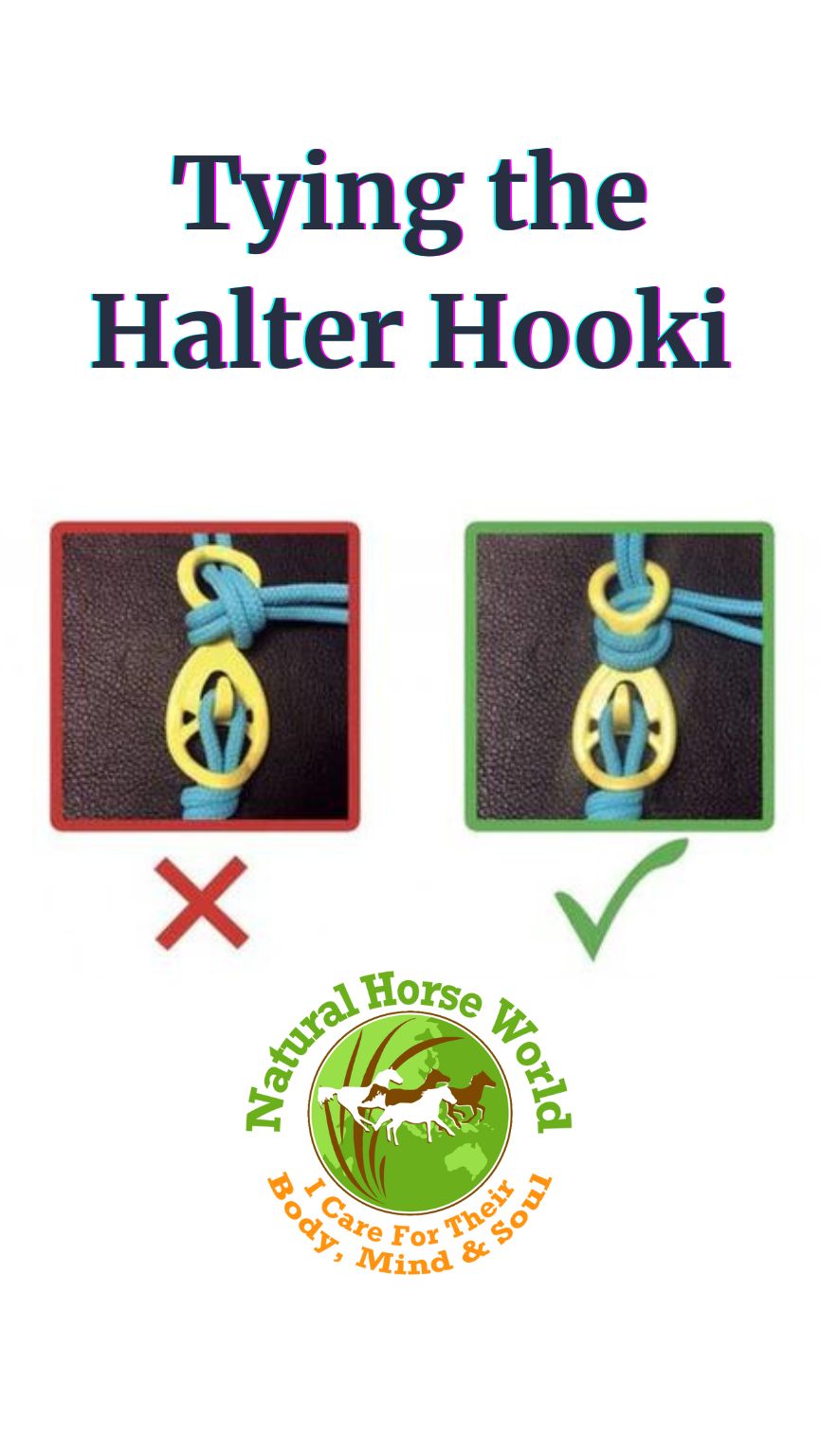 LightRider Rope Performer Bitless Bridle - Image 13