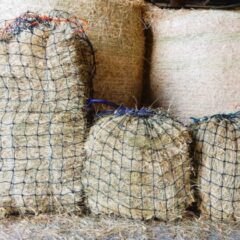 Knotted 6cm Hay Nets