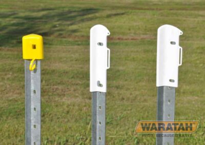 When Fencing Fails – and the Lesson I’ll Never Forget - Natural Horse World WarratahSafeFenceCaps