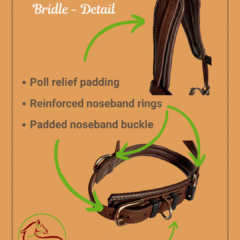 Amalia Biothane Bitless Bridle Detail