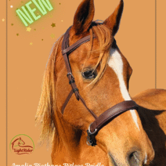 LightRider Amalia Biothane Bitless Bridle