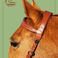 AmaliaWesternbridleHead