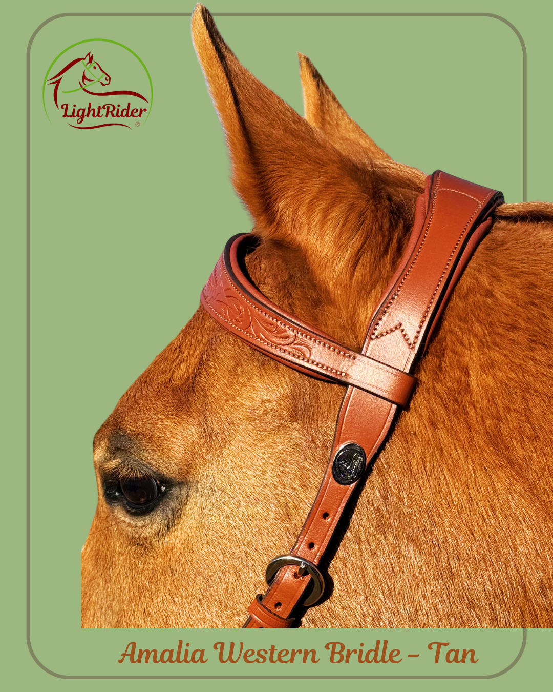 LightRider Amalia Western Bitless Bridle - Natural Horse World AmaliaWesternbridleHead