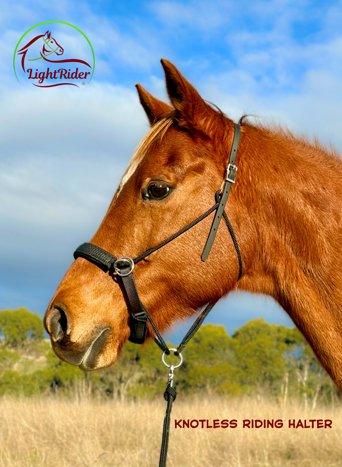 LightRider Knotless Riding Halter - Image 6