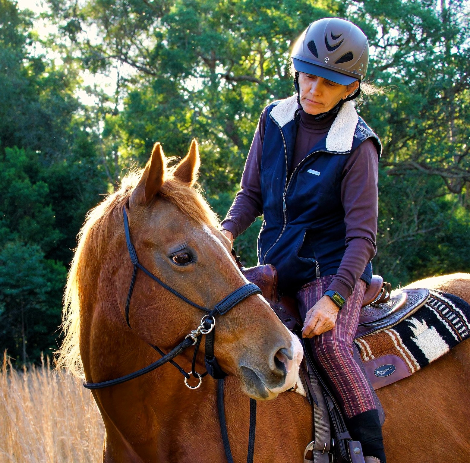 LightRider Knotless Riding Halter - Image 7