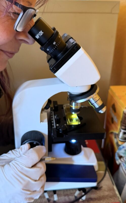 How to take Fecal Egg Counts - Natural Horse World Fecal Egg count microscope