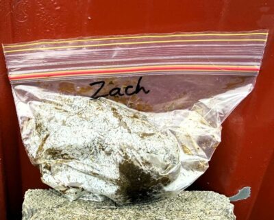 How to take Fecal Egg Counts - Natural Horse World Horse Manure sample