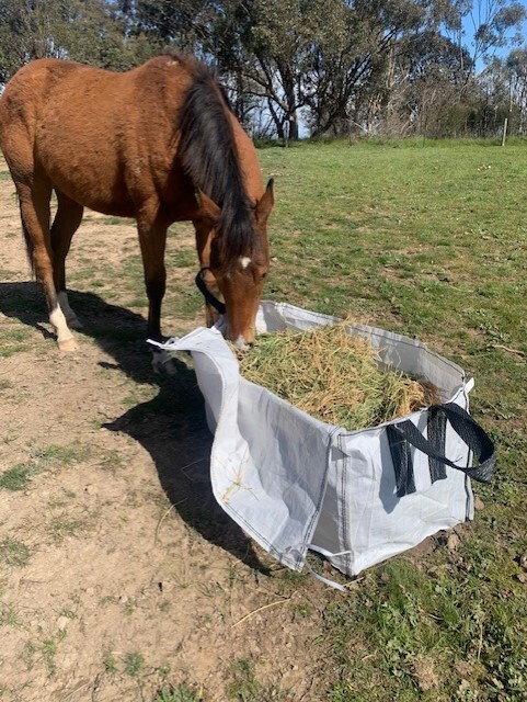 BagABale The Affordable Hay Transport Bag - Natural Horse World BagABale The Affordable Hay Transport Bag