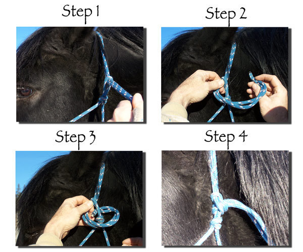 LightRider Bitless Bridle - Rope Performer Includes rope reins