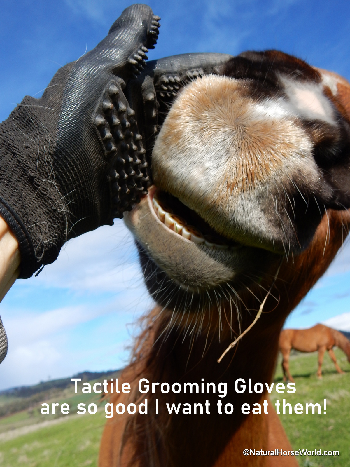 Tactile Grooming Gloves Sold as a pair