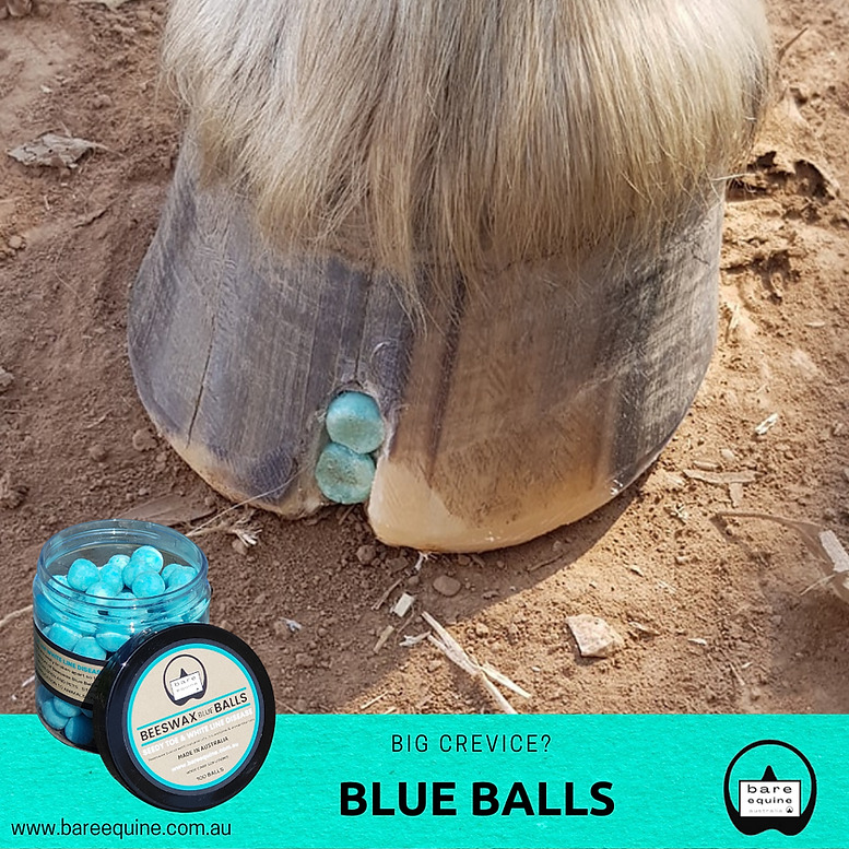 Beeswax BLUE Balls®? - Seedy Toe By Bare Equine
