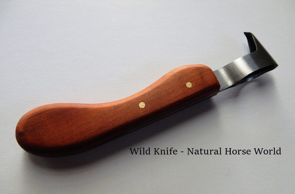 Wild’ Loop Hoof Knife - Natural Horse World 'Wild' Loop Knife Handmade in Tasmania