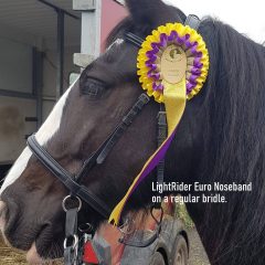 LightRider Euro Bitless Noseband