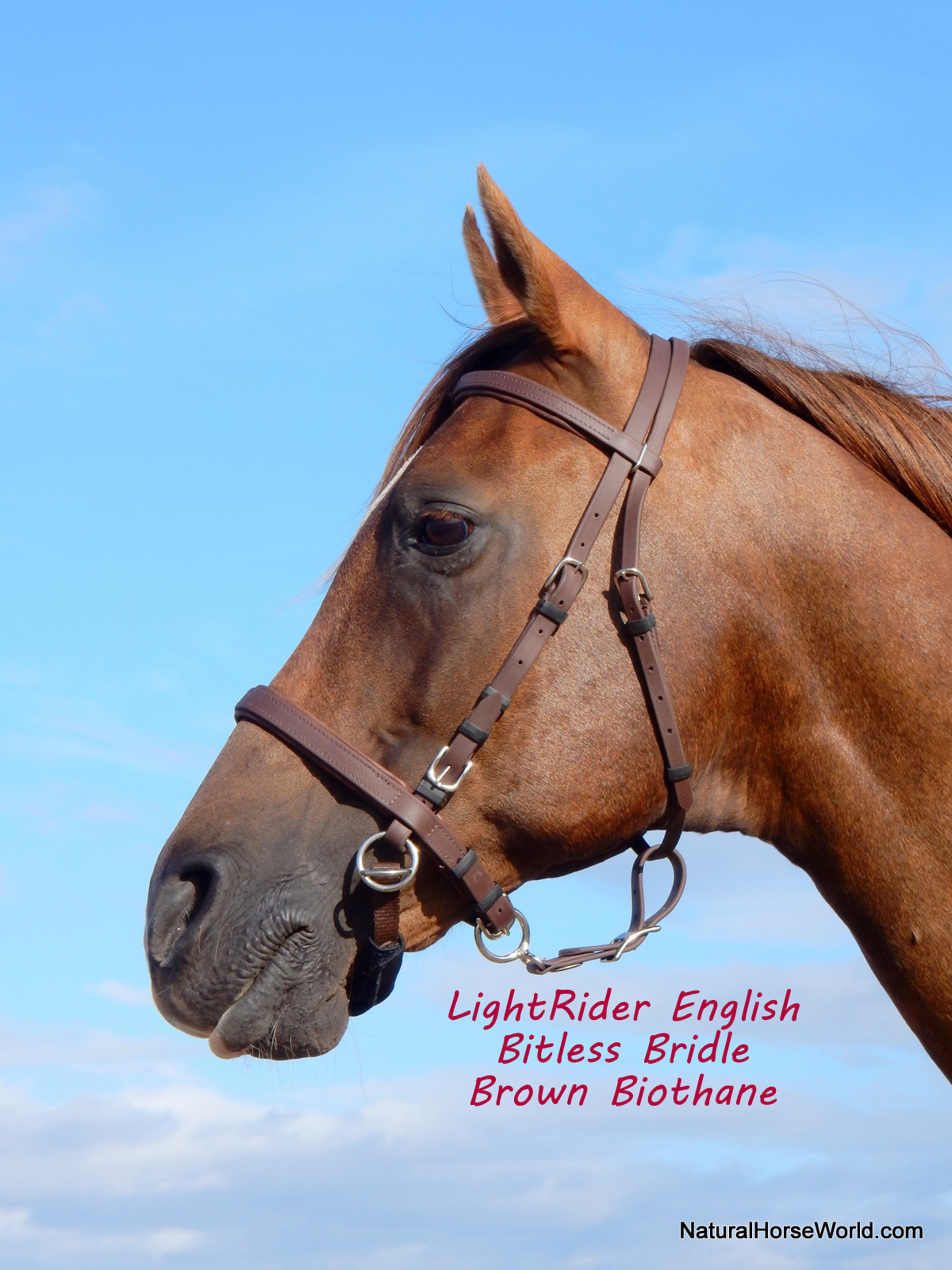 LightRider English Bitless Bridle - Natural Horse World LightRider English Bitless Bridle
