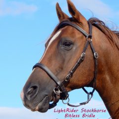 LightRider Stockhorse Bitless Bridle